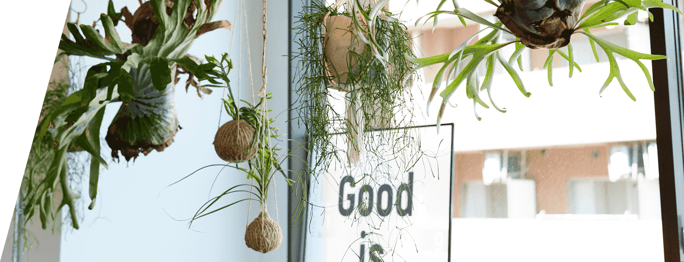 河南投产棒网络科技有限公司 